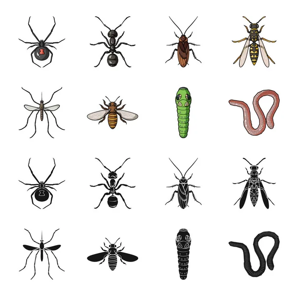 Worm, centipede, wasp, bee, hornet .Insects set collection icons in black,cartoon style vector symbol stock illustration web. — Stock Vector