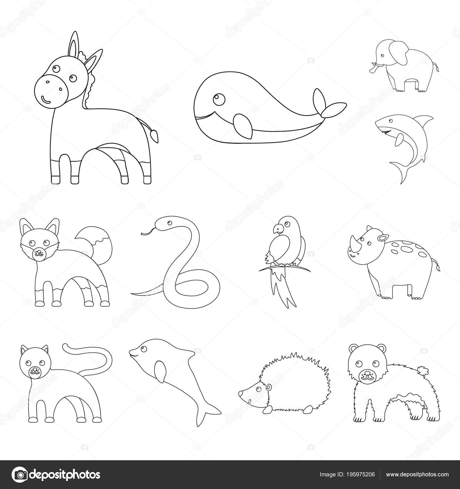 Fake Animals Drawing