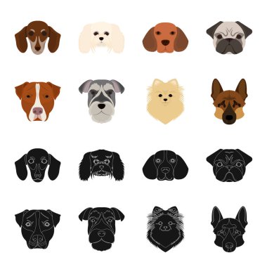 Farklı doğurmak-in köpek ağızlık. Köpek doğurmak Stafford, Spitz, Risenschnauzer, Alman çoban köpeği ayarlamak toplama simgeler siyah, karikatür tarzı vektör simge stok çizim web içinde.