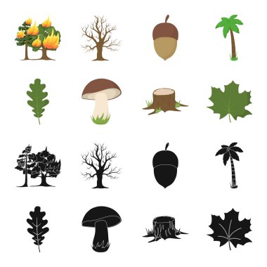 Meşe yaprağı, mantar, stump, akçaağaç yaprağı. Orman toplama simgeler siyah, karikatür tarzı vektör simge stok çizim web içinde ayarla..