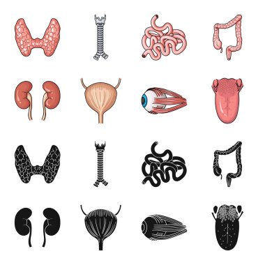Böbrek, mesane, gözü, dili. İnsan organlarını toplama simgeler siyah, karikatür tarzı vektör simge stok çizim web içinde ayarla..