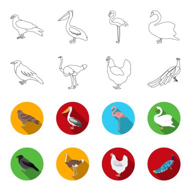 Karga, devekuşu, tavuk, tavus kuşu. Kuşlar toplama simgeler anahat, düz stil vektör simge stok çizim web ayarla..