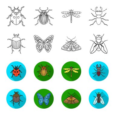 Yıkan, parazit, doğa, kelebek. Böcekler toplama simgeler anahat, düz stil vektör simge stok çizim web ayarla..