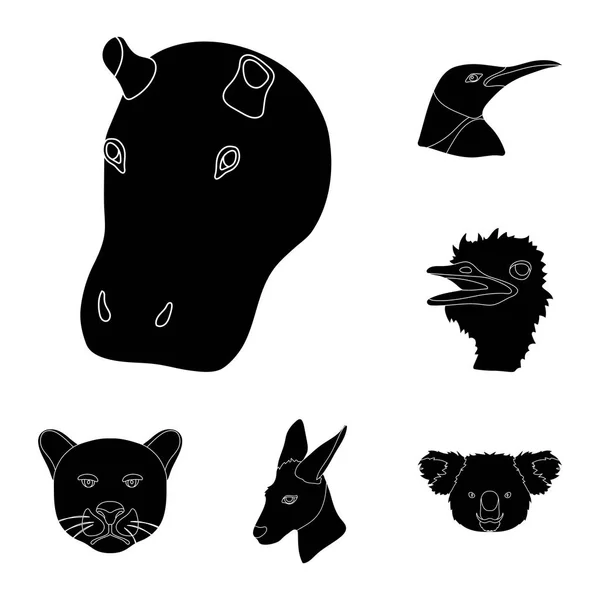 Άγρια ζώα μαύρο εικόνες set συλλογής για το σχεδιασμό. Είδη θηλαστικών και ορνιθοπανίδας σύμβολο μετοχής web εικονογράφηση διάνυσμα. — Διανυσματικό Αρχείο