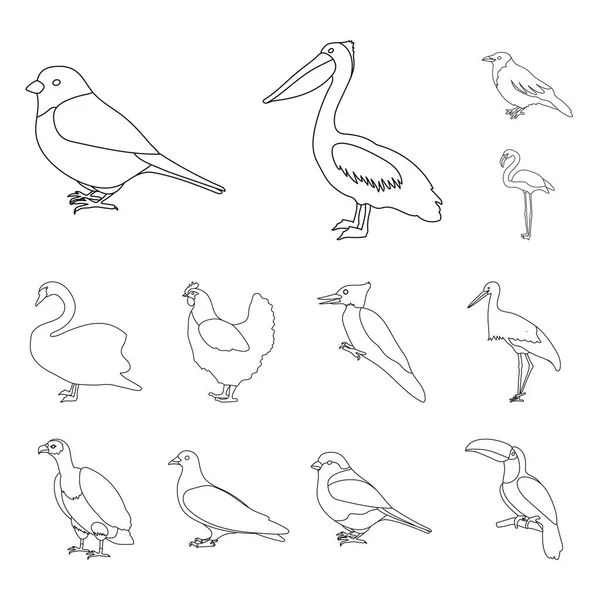 Types of birds outline icons in set collection for design. Home and wild bird vector symbol stock web illustration. — Stock Vector