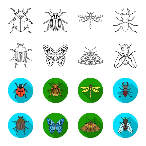 Épave, parasite, nature, papillon .Insectes ensemble icônes de la collection dans le contour, style plat vectoriel symbole illustration web . — Image vectorielle