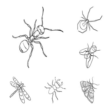 Çeşitli böcekler set koleksiyonu tasarım için simgeleri anahat. Böcek Eklem bacaklılar vektör izometrik sembol stok web çizimi.