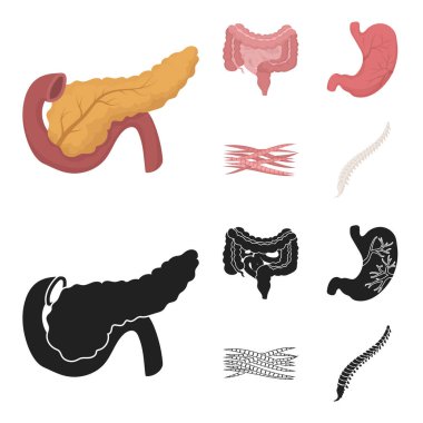 Bağırsak, mide, kaslar, omurga. Organ toplama simgeler çizgi film, siyah stil vektör simge stok çizim web ayarla..