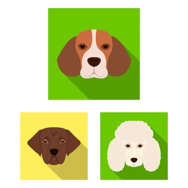 El perro reproduce iconos planos en la colección de conjuntos para el diseño.Hocico de un perro vector símbolo stock web ilustración . — Vector de stock