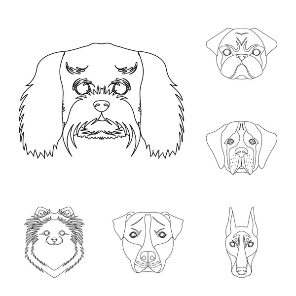 犬の品種は、設計のためのセットのコレクションのアイコンを概説します。犬のベクトル シンボル ストック web 図の銃口. — ストックベクタ