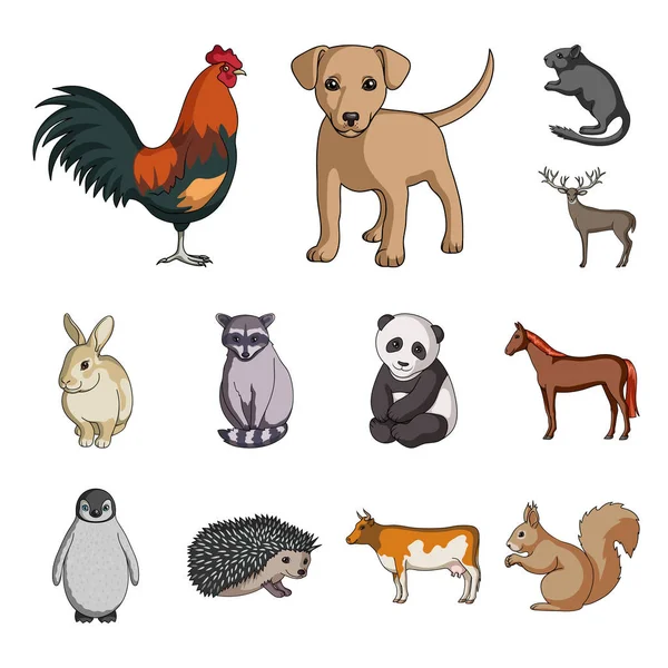 Animales realistas iconos de dibujos animados en la colección de conjuntos para el diseño. Animales salvajes y domésticos vector símbolo stock web ilustración . — Vector de stock