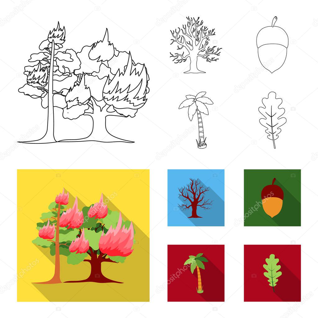 Burning tree, palm, acorn, dry tree.Forest set collection icons in outline,flat style vector symbol stock illustration web.