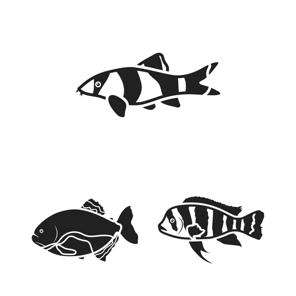 Verschiedene Arten von Fisch schwarzen Symbolen in Set-Kollektion für Design. Meeres- und Aquarienfische Vektor Symbol Stock Web Illustration. — Stockvektor