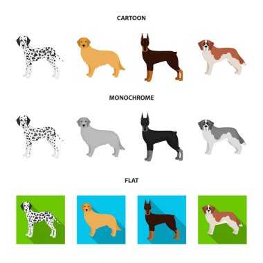 Köpek ırkları, düz, tek renkli simgeler set koleksiyonu tasarım için karikatür. Köpek evde beslenen hayvan vektör simge stok web çizim.