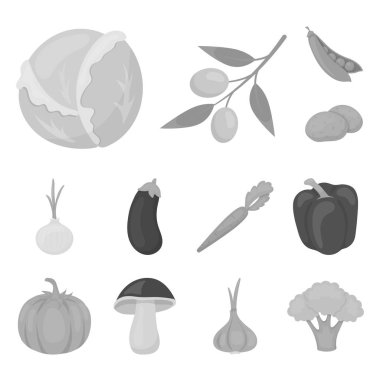 Set koleksiyonu tasarım için sebze tek renkli simgeler farklı türde. Sembol stok web illüstrasyon vektör sebze ve vitaminler.