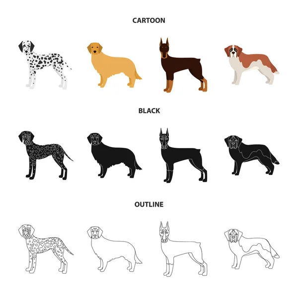 Perro razas de dibujos animados, negro, iconos de contorno en la colección de conjuntos para design.Dog mascota vector símbolo stock web ilustración . — Vector de stock