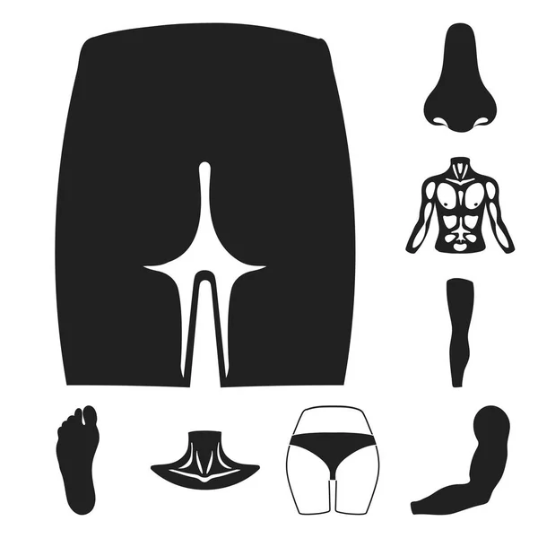 Part of the body, limb black icons in set collection for design. Human anatomy vector symbol stock web illustration. — Stock Vector