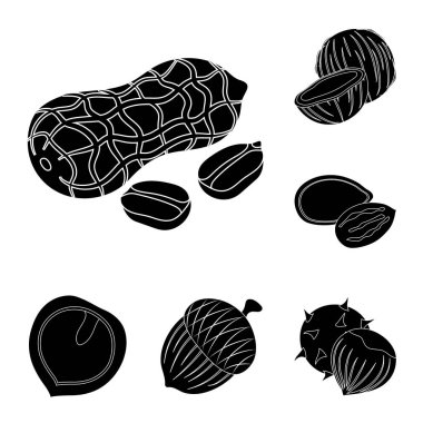 Fındık çeşitleri set koleksiyonu tasarım için simgeler siyah. Fındık gıda vektör simge stok web çizim.