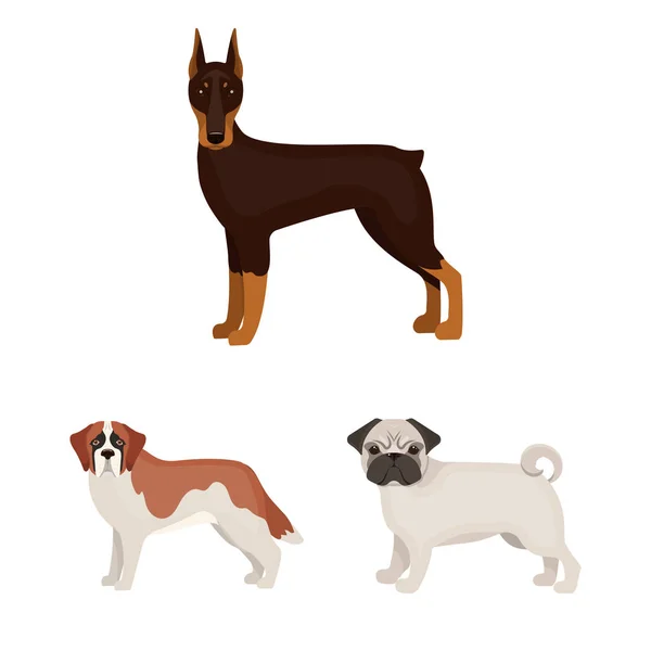 Hundraser tecknad ikoner i set samling för design. Hund husdjur vektor symbol lager web illustration. — Stock vektor