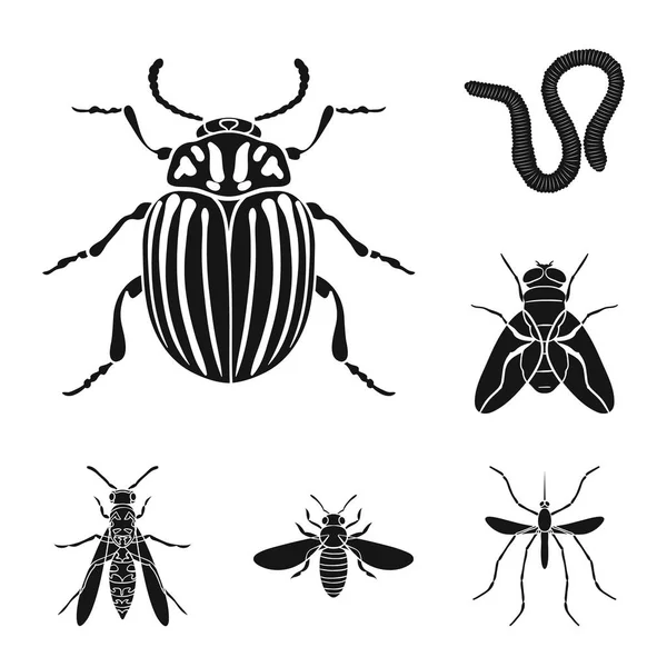 Verschiedene Arten von Insekten schwarze Symbole in Set Sammlung für Design. Insekt Arthropoden Vektor Symbol Stock Web Illustration. — Stockvektor