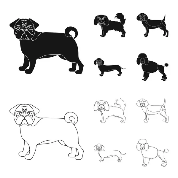 Hunderassen schwarz, Umrisssymbole in Set Kollektion für Design. Dog pet Vektor Symbol Stock Web Illustration. — Stockvektor