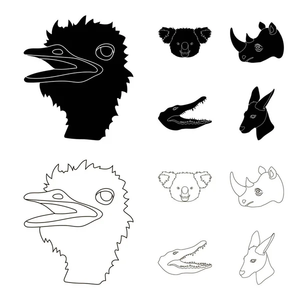 Struisvogel, koala, neushoorn, krokodil, realistische dieren collectie iconen in zwart, overzicht stijl vector symbool stock illustratie web instellen. — Stockvector