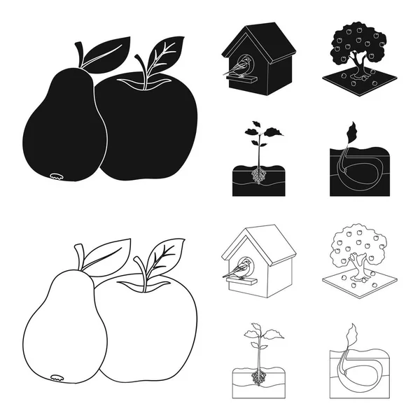 Garden, farming, nature and other web icon in black, outline style. Посадка, корневище, стебель, стебель в комплекте . — стоковый вектор