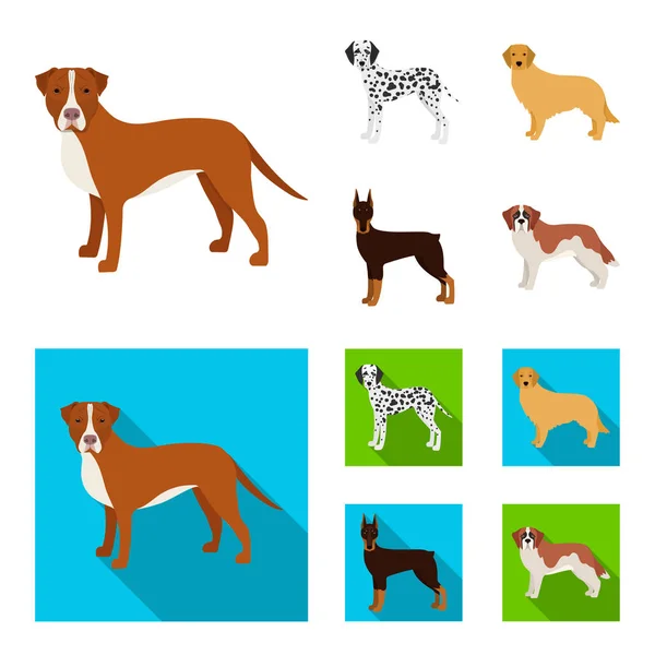 Hundraser tecknad, platt ikoner i set samling för design. Hund husdjur vektor symbol lager web illustration. — Stock vektor