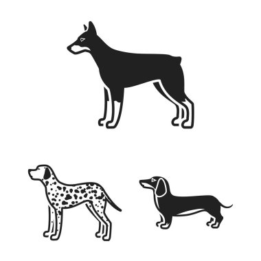 Köpek ırkları set koleksiyonu tasarım için simgeler siyah. Köpek evde beslenen hayvan vektör simge stok web çizim.