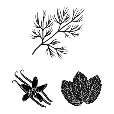 Ot ve baharat set koleksiyonu tasarım için simgeler siyah. Baharat çeşitleri simge stok web illüstrasyon vektör.