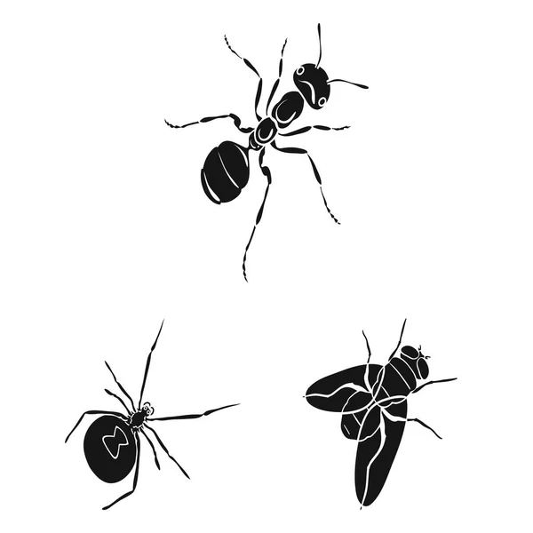 Diferentes tipos de ícones pretos de insetos na coleção de conjuntos para design. Inseto artrópode vetor isométrico símbolo estoque web ilustração . — Vetor de Stock