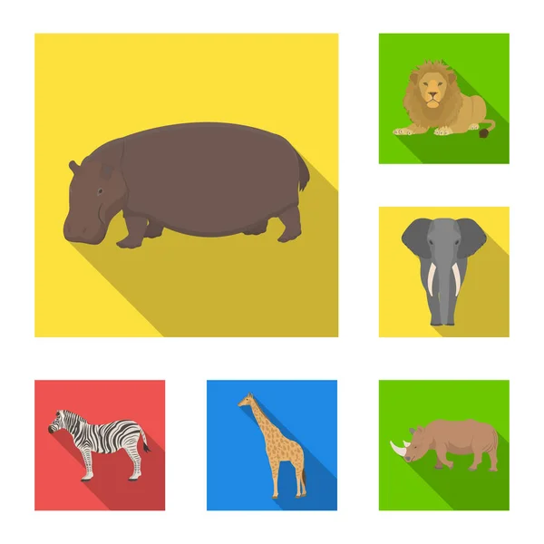 Olika djur platt ikoner i set samling för design. Fågel, rovdjur och växtätare vektor symbol lager web illustration. — Stock vektor