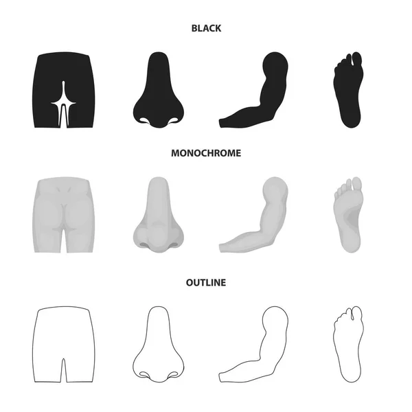 Nádegas, nariz, braço, pé. Parte do corpo conjunto coleção ícones em preto, monocromático, estilo esboço vetor símbolo estoque ilustração web . —  Vetores de Stock