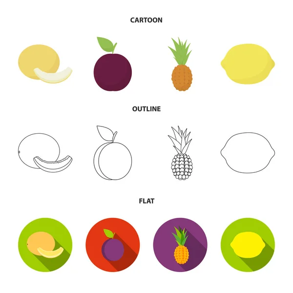 Melon Prune Ananas Citron Fruits Ensemble Icônes Collection Dans Bande — Image vectorielle