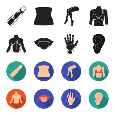 Kişi, ağız, el, kulak arkası. Gövde bölümü toplama simgeler siyah, flet stil vektör simge stok çizim web içinde ayarla..