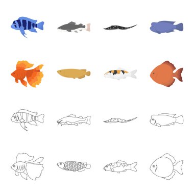 Discus, altın, sazan, koi, scleropages, fotmosus. Balık toplama simgeler çizgi film, anahat stili vektör simge stok çizim web ayarla..