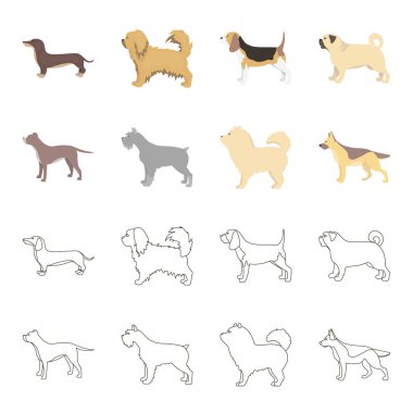 Çukur boğa, Alman çoban, chow chow, schnauzer. Köpek ırkları toplama simgeler çizgi film, anahat stili vektör simge stok çizim web ayarla..