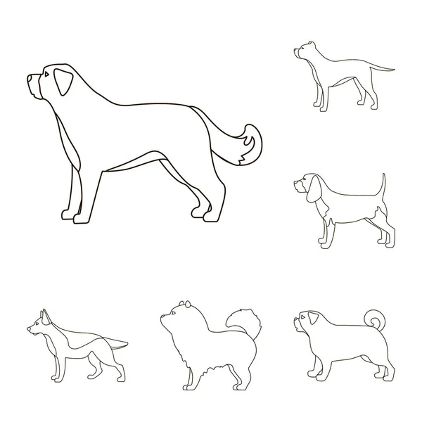 Razas perro contorno iconos en conjunto colección para design.Dog mascota vector símbolo stock web ilustración . — Vector de stock