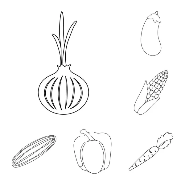Différents types de légumes icônes contour dans la collection ensemble pour le design. Légumes et vitamines symbole vectoriel illustration web stock . — Image vectorielle