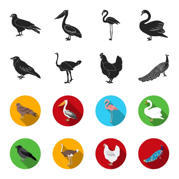Ворона, страус, курица, павлин. Птицы устанавливают иконки коллекции в черной векторной паутине с символом flet . — стоковый вектор