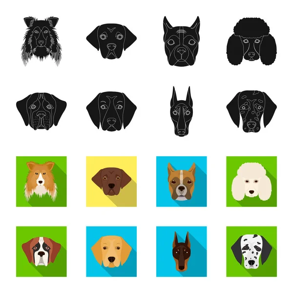Ρύγχος από διαφορετικές φυλές σκύλων. Σκύλος του Αγίου Βερνάνδου, golden retriever, ντόμπερμαν, Δαλματίας φυλή οριστεί συλλογή εικονιδίων σε μαύρο, flet στυλ διάνυσμα σύμβολο μετοχής εικονογράφηση web. — Διανυσματικό Αρχείο