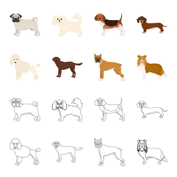Perro razas de dibujos animados, iconos de contorno en la colección de conjuntos para design.Dog mascota vector símbolo stock web ilustración . — Archivo Imágenes Vectoriales