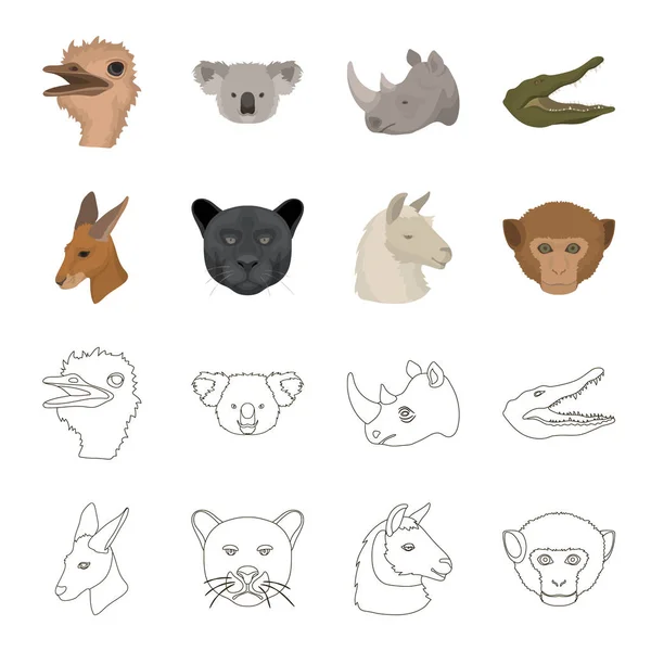 Kangourous, lama, singe, panthère, animaux réalistes mis icônes de collection dans la bande dessinée, contour style vectoriel symbole illustration web . — Image vectorielle