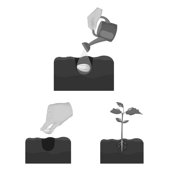 Fattoria e agricoltura icone monocromatiche nella collezione set per il design. Giardino e piante isometrico vettoriale simbolo stock web illustrazione . — Vettoriale Stock