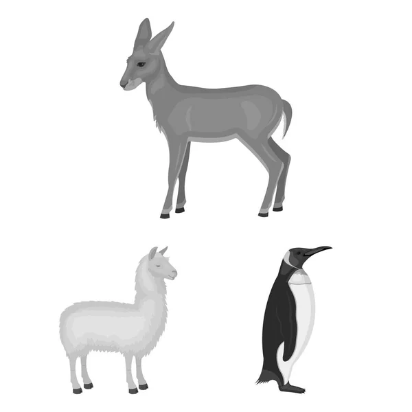 Olika djur svartvita ikoner i set insamling för design. Fågel, rovdjur och växtätare vektor symbol lager web illustration. — Stock vektor