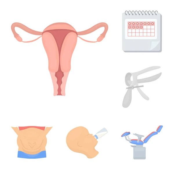 Žena a těhotenství karikatura ikony v nastavení kolekce pro design. Gynekologie a zařízení symbol akcií webové vektorové ilustrace. — Stockový vektor