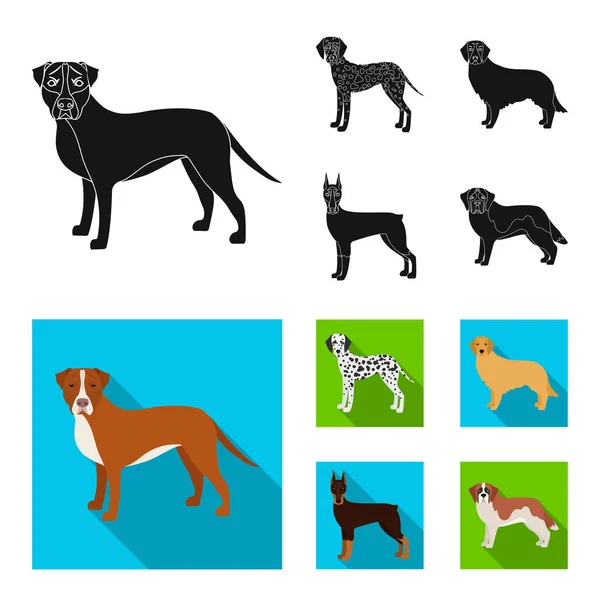 Pies rasy czarny, płaskie ikony w kolekcja zestaw do projektowania. Pies pieścić wektor symbol akcji web ilustracja. — Wektor stockowy