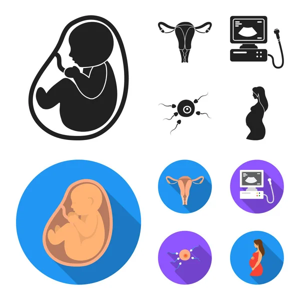 Livmodern, apparat för ultraljud, gödsling. Graviditet som samling ikoner i svart, platt stil vektor symbol stock illustration web. — Stock vektor