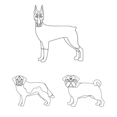 Köpek ırkları set koleksiyonu tasarım için simgeleri anahat. Köpek evde beslenen hayvan vektör simge stok web çizim.