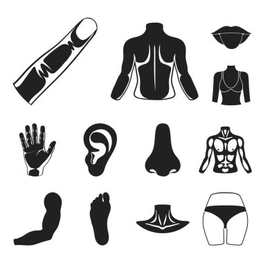 Uzuv / Organ, set koleksiyonu tasarım için bacak siyah simgeler. İnsan anatomisi vektör simge stok web çizimi.